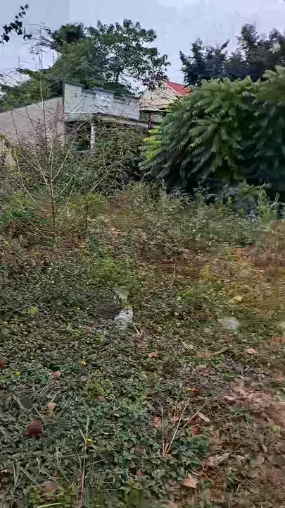 Đất mặt tiền Quốc Lộ 56, Suối Nghệ 880m² giá 440 triệu - Cơ hội đầu tư tuyệt vời!