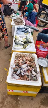 Đất nền Lân Phong, Mộ Đức 200m² giá 310 triệu - Chốn yên bình giữa phố thị