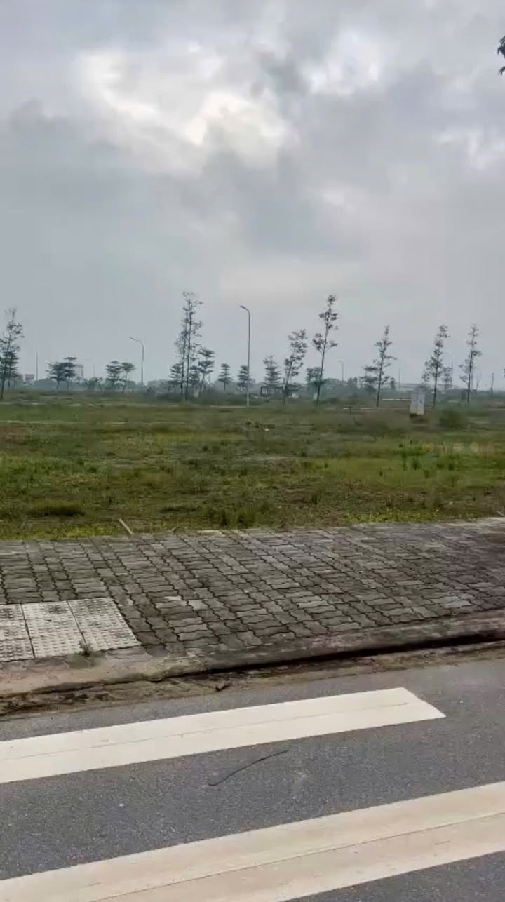 Đất nền 115m² tại Yên Phong - Giá chỉ 2.2 tỷ, đầu tư sinh lời ngay!