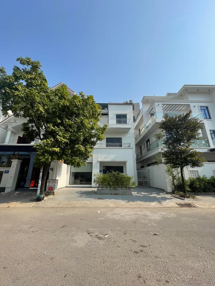 Biệt thự đơn lập 3 tầng Phường Võ Cường 162.5m² - View vườn hoa thoáng đãng!