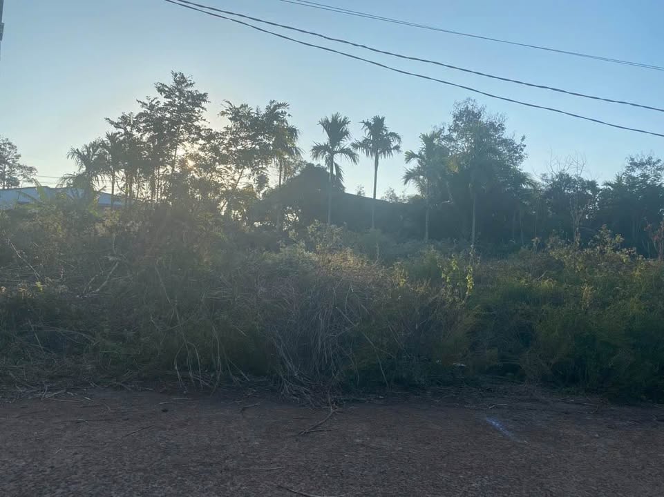 Đất thổ cư Him Lam Cam Lâm 80m² giá 1.18 tỷ - Đường ô tô thoải mái!