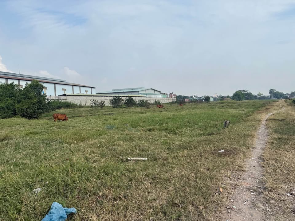 Đất nền Hương Lộ 2, Quận Bình Tân 7400m² giá 29.6 tỷ - Cơ hội đầu tư sinh lời!
