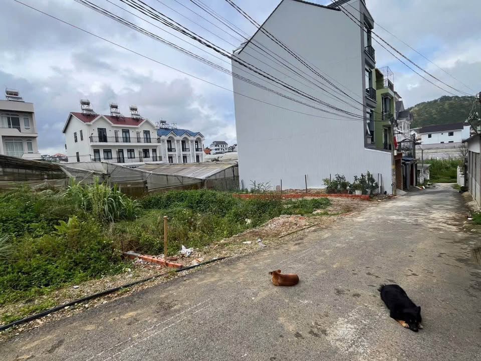 Đất nền Nguyễn Hữu Cầu, Đà Lạt 200m² giá 7 tỷ - Sổ riêng, xây dựng tự do!