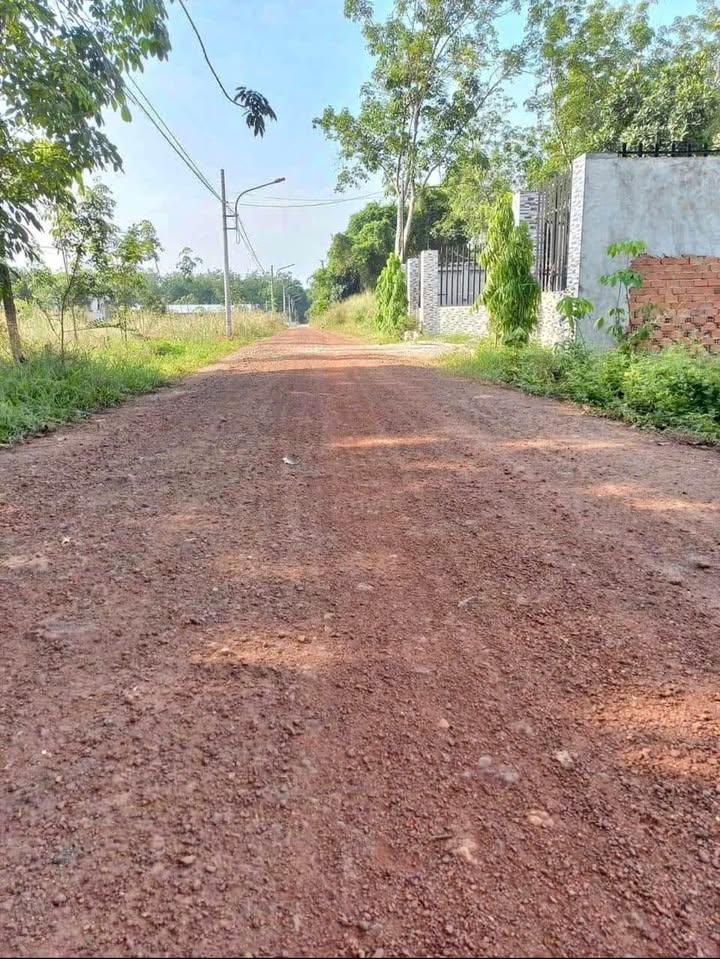 Đất nền đường Minh Thạnh, 217m² giá 580 triệu - Cơ hội đầu tư hiếm có!