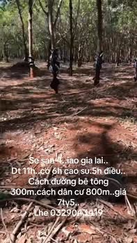 Đất nông nghiệp 40,000m² tại Xã Ia O, Huyện Ia Grai - Giá chỉ 7.5 tỷ VND, đầu tư sinh lời cao!