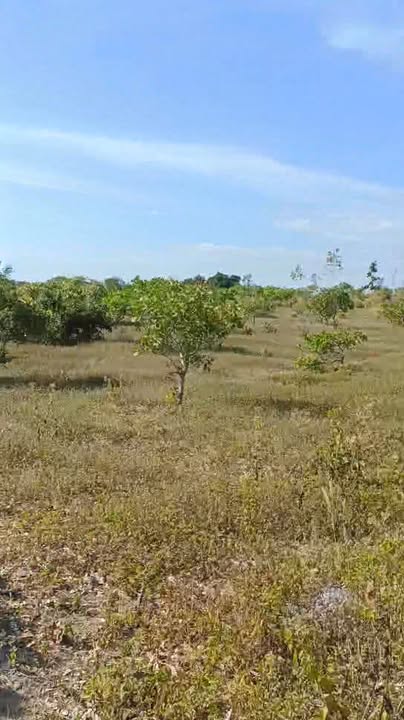 Đất nông nghiệp 2,4ha tại Ia Pia, Chư Prông, Gia Lai - Đầu tư sinh lời cho mùa Tết!