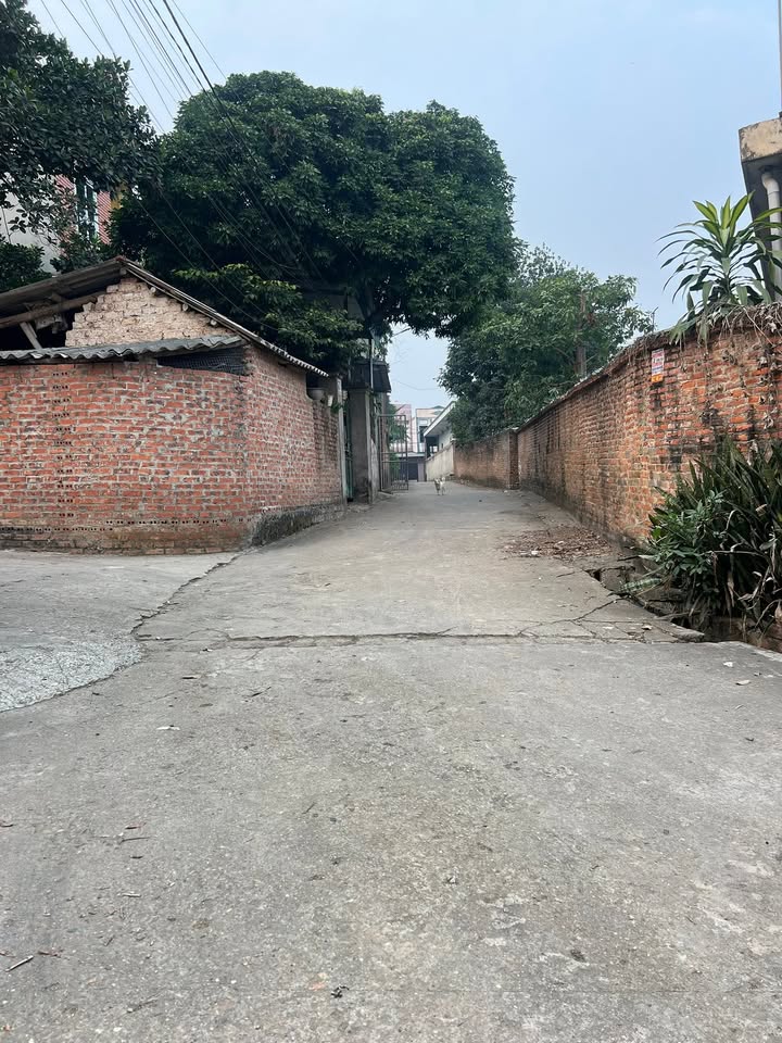 Đất nền khu liên minh Minh Phương, 115m² giá 2.08 tỷ - Cơ hội đầu tư hấp dẫn!