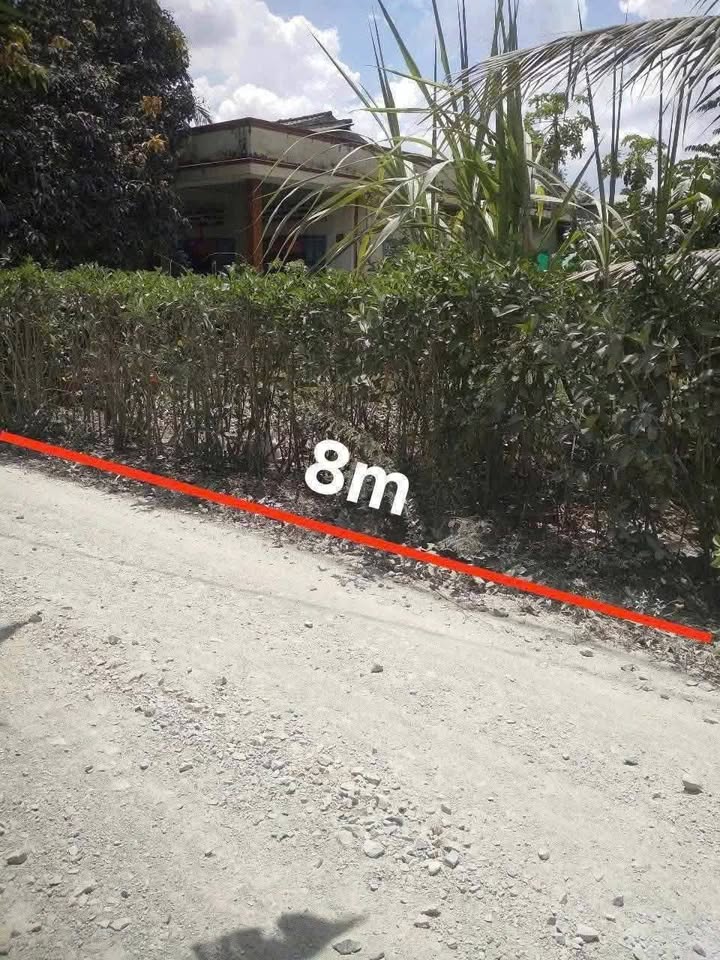 Đất nền thổ cư Hướng Thọ Phú, Tân An 297m² giá 1.5 tỷ - Mặt tiền 8m, đầu tư sinh lời!