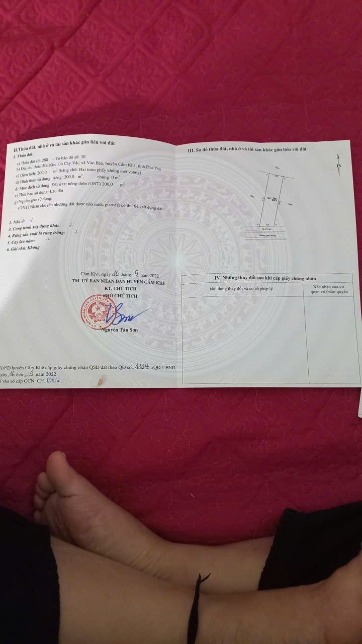 Đất thổ cư 200m² tại khu Gò Cây Vải, Cẩm Khê - Giá chỉ 600 triệu!