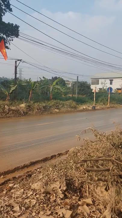 Đất dự án tại Tỉnh Lộ 315, Phú Thọ 80m² giá 2.8 tỷ - Đầu tư sinh lời bền vững!