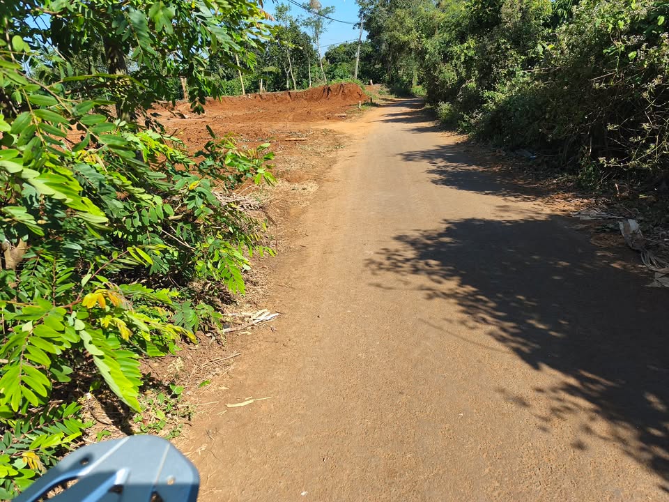 Đất nền xã Ea Kao, Buôn Ma Thuột 500m² giá chỉ 370 triệu - Cơ hội đầu tư tuyệt vời!