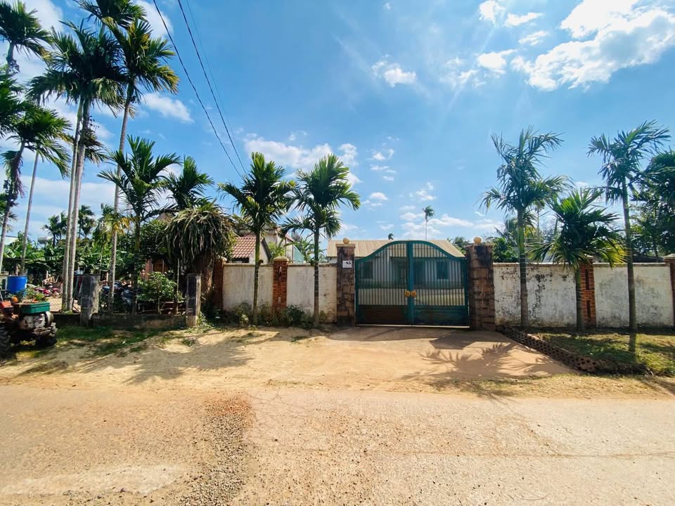 Đất nền N6 Buôn Ju, Phường Tân An, 310m² chỉ 2.39 tỷ - Đầu tư sinh lời ngay!