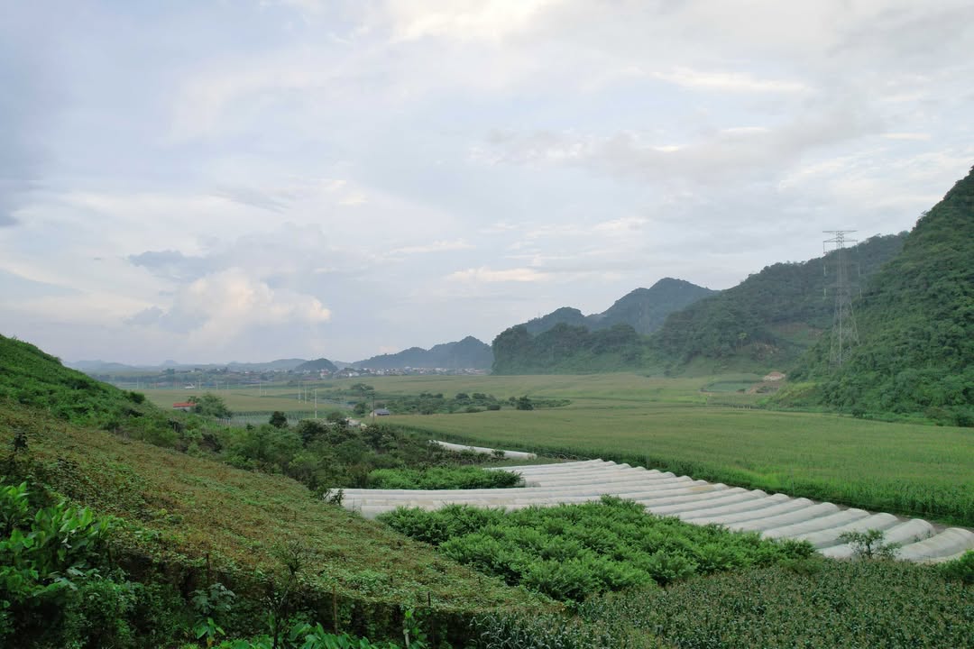 Đất Vân Hồ 2100m² giá 3 tỷ - Vị trí lý tưởng cho đầu tư du lịch