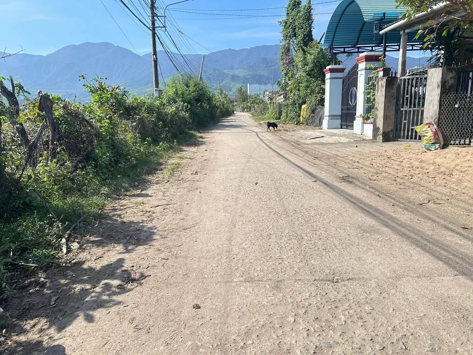 Đất vườn 6200m² tại Vân Canh, Hoài Đức - Giá 800 triệu, ô tô vào tận nơi!