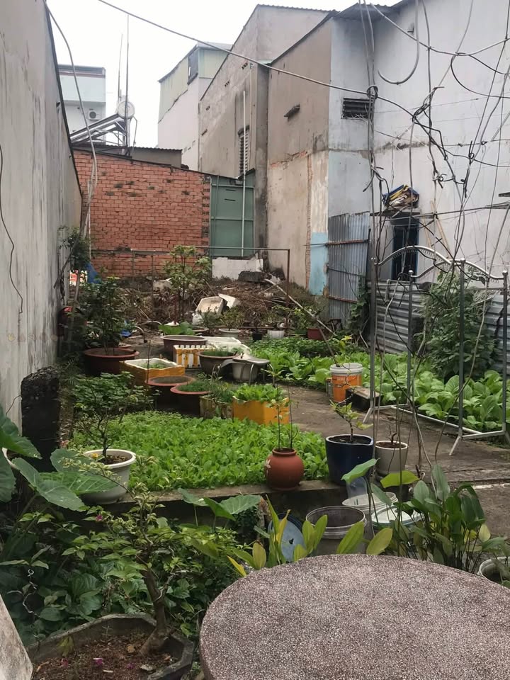 Lô đất Phường Linh Tây 72m² giá 4.3 tỷ - Cơ hội đầu tư tuyệt vời!