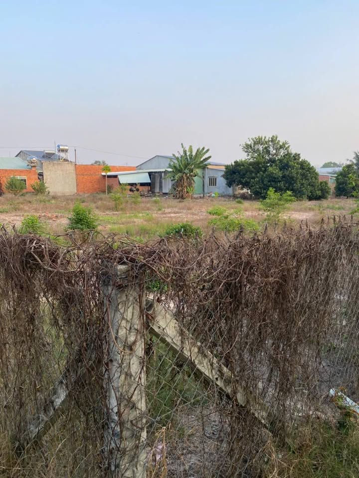 Đất nền Gò Dầu, Tây Ninh 200m² giá 335 triệu - Cơ hội đầu tư tuyệt vời!