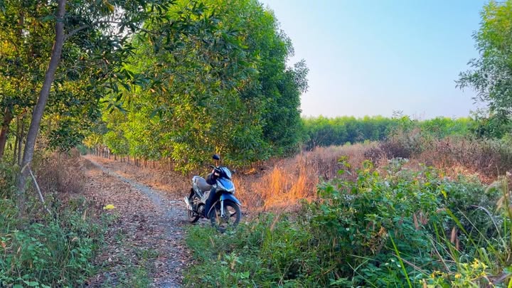 Đất nền 2500m² tại Suối Cao, Xuân Lộc - Giá chỉ 525 triệu - Sổ riêng chính chủ!