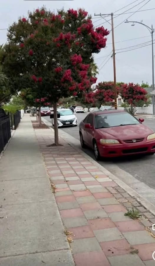 Nhà bán Khu phố Phan Đăng Lưu, Tuy Hoà, 100m² giá 6 tỷ - Vị trí đắc địa, sang trọng!