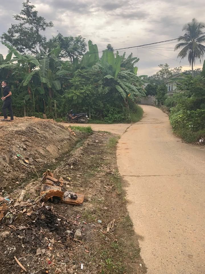 Đất nền chính chủ tại Kim Phú, Tuyên Quang 125m² - Đường bê tông thông thoáng!