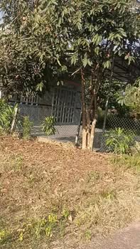 Đất thổ cư 100m² tại Quốc lộ 13, Bình Phước - Giá chỉ 1 tỷ, đầu tư sinh lời!