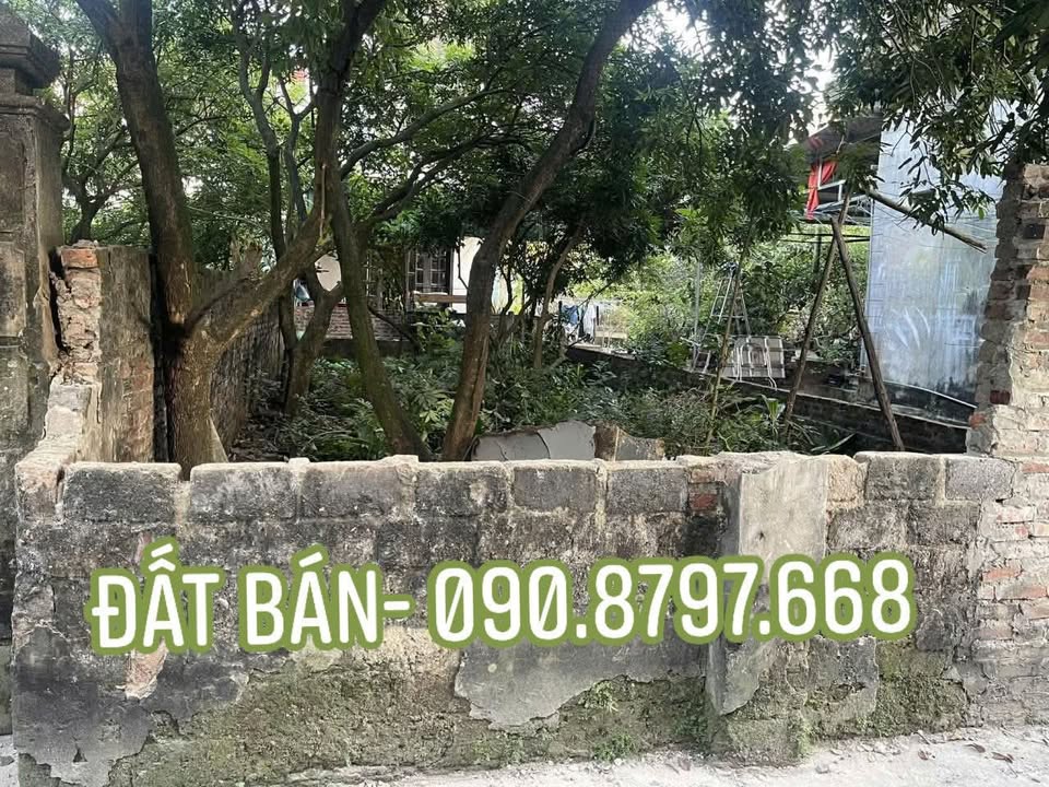 Đất thổ cư Thượng Đình Thường Tín 80m² giá 6x tỷ - Cơ hội đầu tư tuyệt vời!
