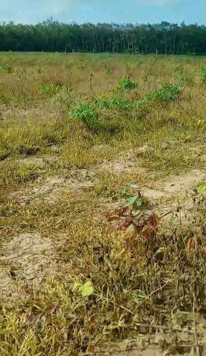 Đất Ấp Thành Nam, Xã Thành Long, 46,957m² giá 7.5 tỷ - Cơ hội đầu tư tuyệt vời!