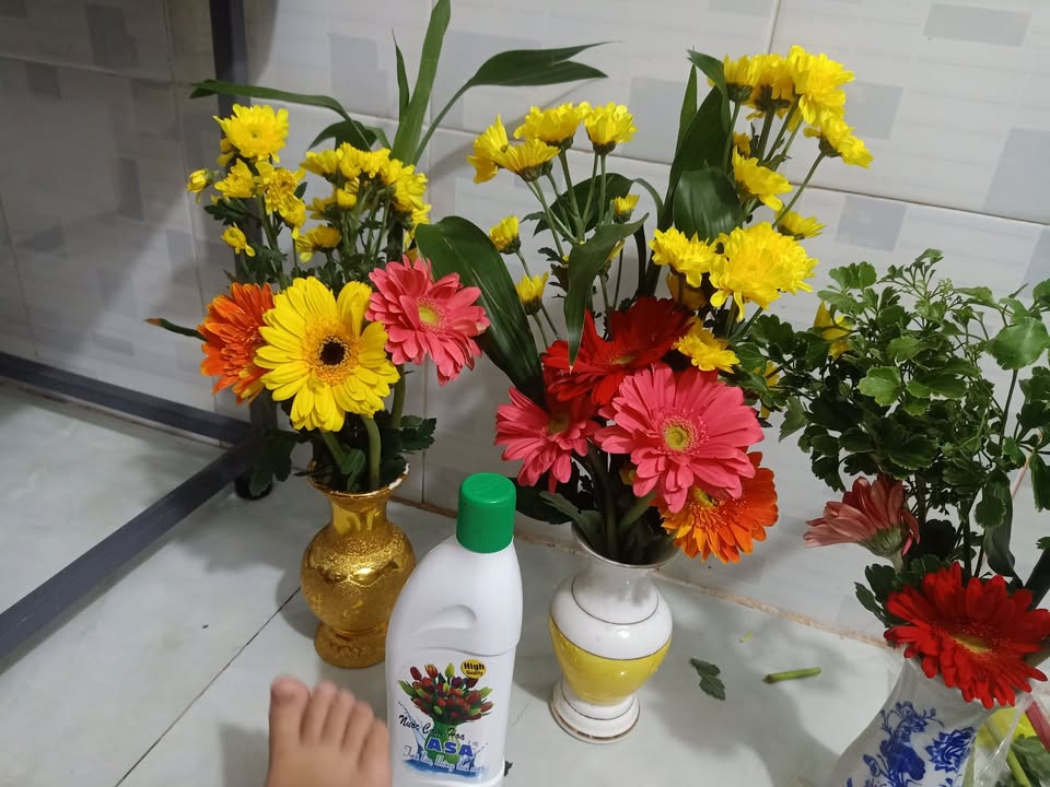 Nhà bán gấp 514m² tại Vĩnh Lộc B, Bình Chánh - Sổ hồng chính chủ, giá 3 tỷ