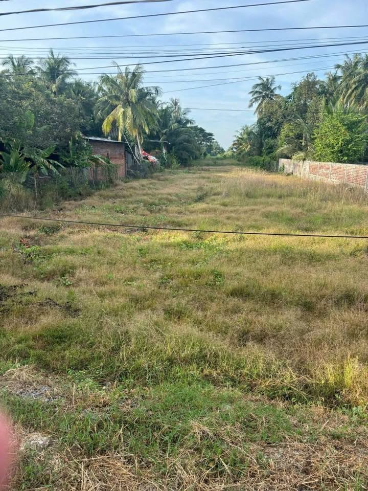 Bán đất xã Long Hồ, Vĩnh Long 5338m² giá chỉ 570 triệu - Tiềm năng đầu tư lớn!