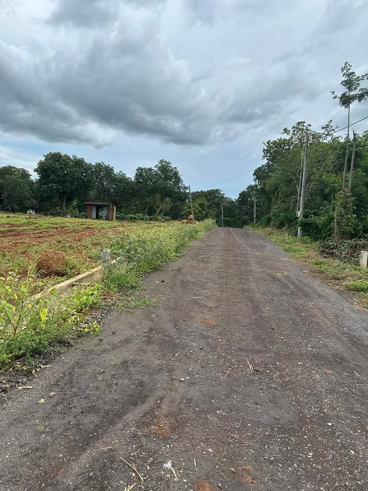 Lô đất tại xã Bình Giã, Huyện Châu Đức, 197m² giá 500 triệu - Cơ hội đầu tư hấp dẫn!