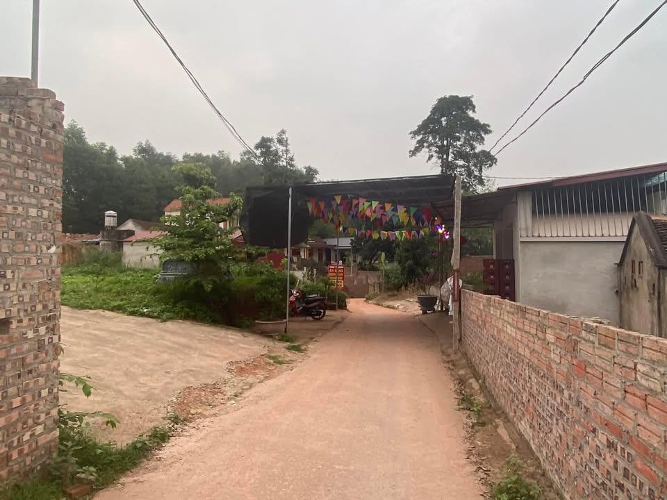 Đất nền xóm thôn Trực Cũ, xã Nga My, Phú Bình 270m² giá 1.4 tỷ - Cơ hội đầu tư hấp dẫn!