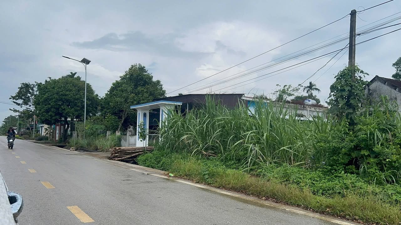 Đất thổ cư xóm Bình Hải, Nghĩa Đàn 175m² giá chỉ 4xx triệu - Đầu tư sinh lời ngay!