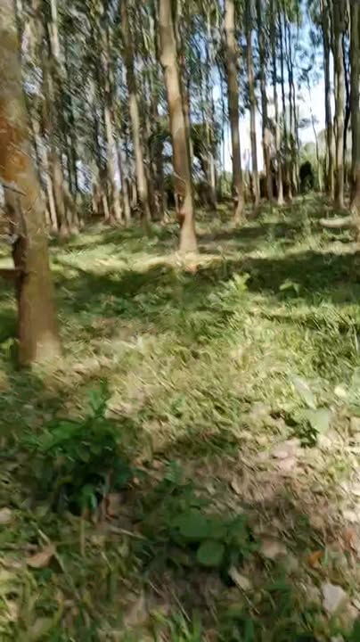 Đất nền thổ cư 350.000m² tại Thôn 6, Xã Vụ Bổn, giá chỉ 4.9 tỷ - Cơ hội đầu tư không thể bỏ qua!