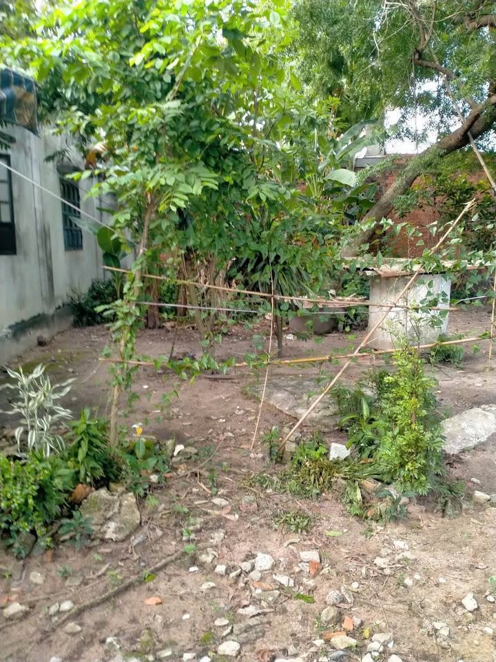 Đất nền Phường Hiệp Tân, Thị xã Hòa Thành 102m² giá 600 triệu - Cơ hội đầu tư hấp dẫn!