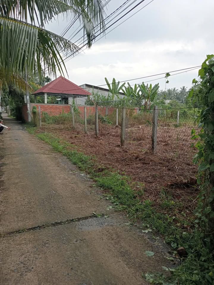 Đất nền Xã Sơn Đông, TP Bến Tre 1016.7m² giá 2 tỷ - Tiềm năng đầu tư vượt trội!