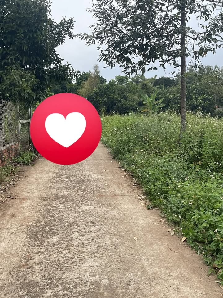 Đất nền tại Hàng Gòn, Long Khánh 105m² giá 650 triệu - Sổ riêng thổ cư!