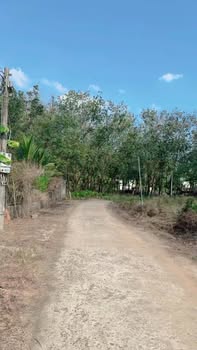 Đất 3500m² xã Đồng Tiến, giá 2.6 tỷ - Đầu tư sinh lời tuyệt vời!