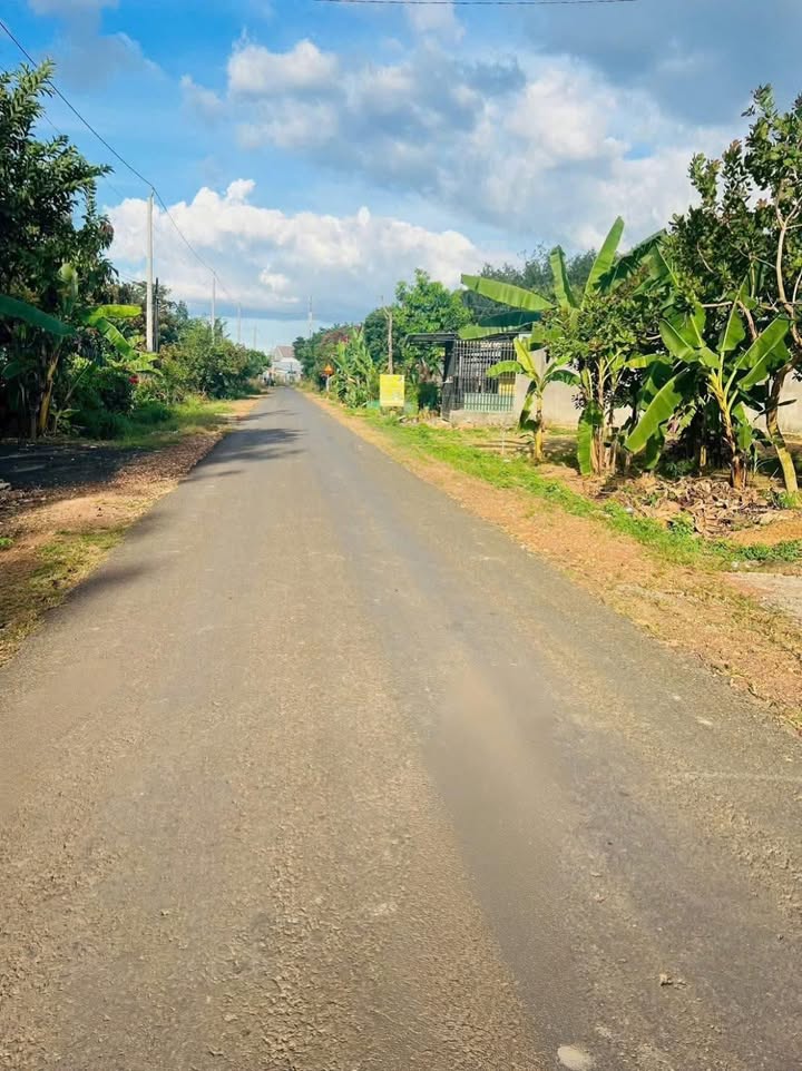 Đất nền xã Đồng Tiến, huyện Đồng Phú 222m² giá chỉ 500 triệu - Cơ hội đầu tư F0!