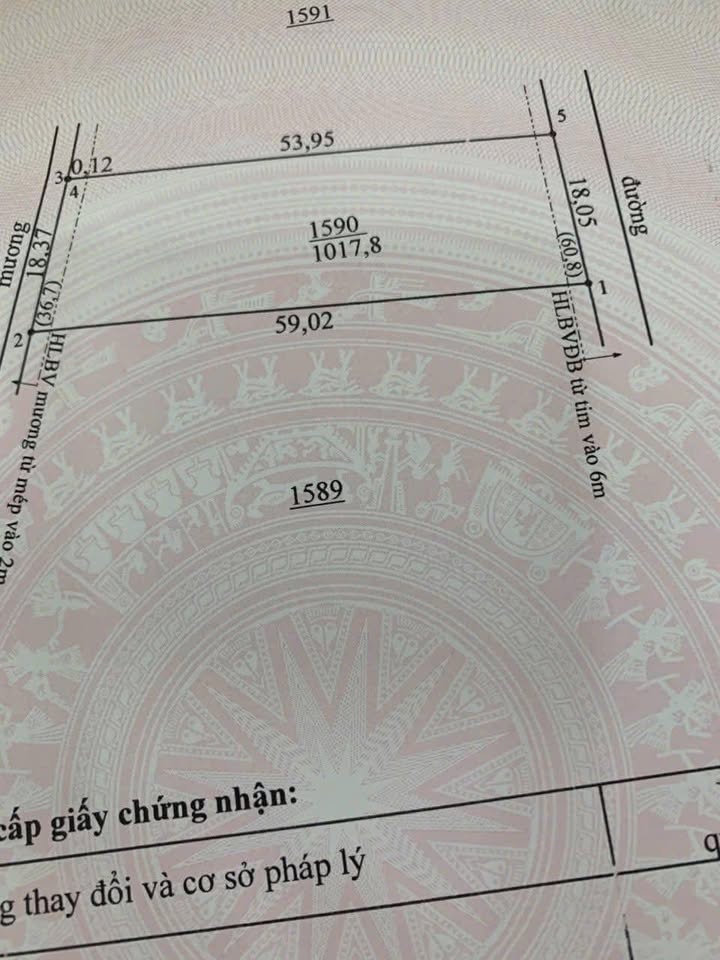 Đất Sào 1000m² tại Đồng Xoài - Giá chỉ từ 200 triệu - Sổ hồng chính chủ!