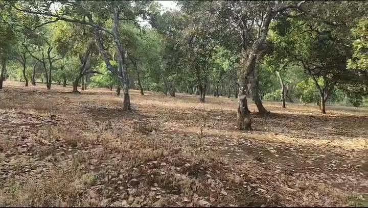 Đất nền 190m² mặt tiền Quốc lộ 14, Nghĩa Trung, Bù Đăng - Giá chỉ 2 tỷ VND!