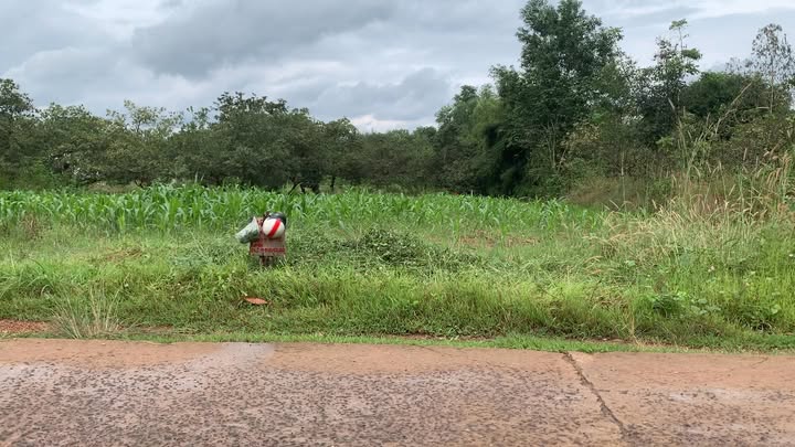 Đất thổ cư 200m² tại ấp Phước Tâm, Đồng Phú - Giá thỏa thuận, cơ hội đầu tư tốt!