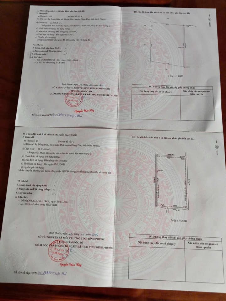 Đất nền 4ha Tân Đồng, Đồng Xoài giá chỉ 11 tỷ - Cơ hội đầu tư sinh lời!