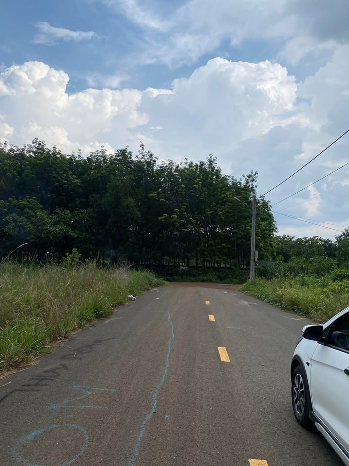 Đất thổ cư 250m² tại Đồng Xoài - Giá chỉ 1.3 tỷ, cơ hội đầu tư không thể bỏ lỡ!