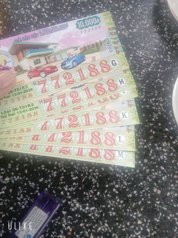 Đất nền dự án DH Lai Hưng - 15.000m² giá chỉ 2 tỷ - Cơ hội đầu tư hấp dẫn!