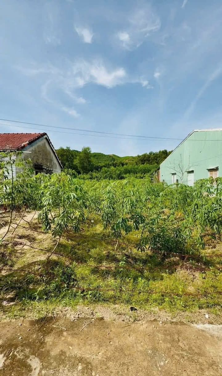 Đất ở An Thành - Duy Trung 222m² chỉ 4xx triệu - Cơ hội đầu tư tuyệt vời!