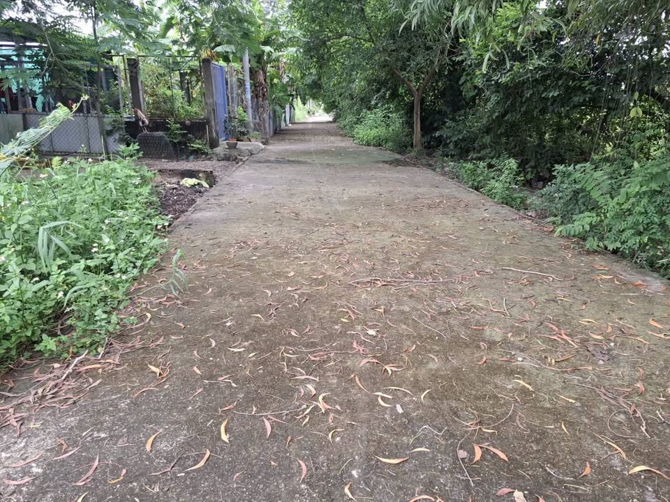 Đất thổ cư 1024m² tại Đức Hòa Thượng giá chỉ 2.3 tỷ - Cơ hội đầu tư hấp dẫn!