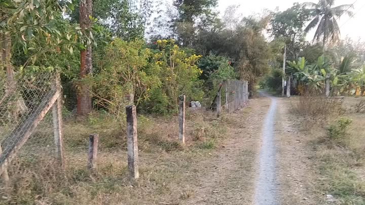 Đất thổ cư 182m² tại Tiên Thuận, Bến Cầu, Tây Ninh - Giá chỉ 380 triệu