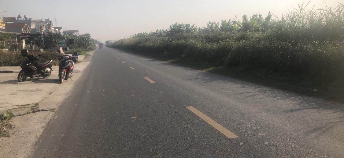 Đất nền Quý Cao, Huyện Tứ Kỳ, 100m² nhỉnh 2 tỷ - Tiềm năng đầu tư lớn!