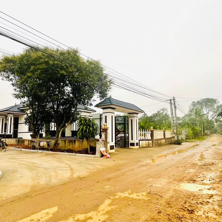 Đất Thị Trấn Sao Vàng Thọ Xuân 1000m² giá 400 triệu - Cơ hội đầu tư tuyệt vời!