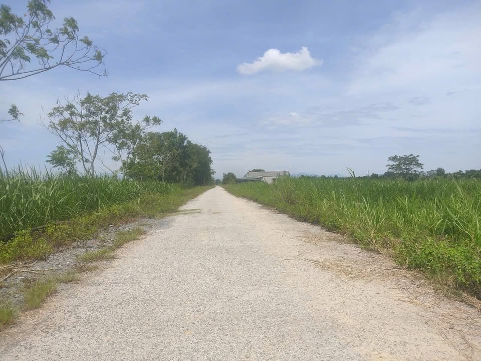 Đất nền 200m² tại Thôn Đại Thắng, Thanh Hóa - Bán gấp chỉ 3xx triệu!