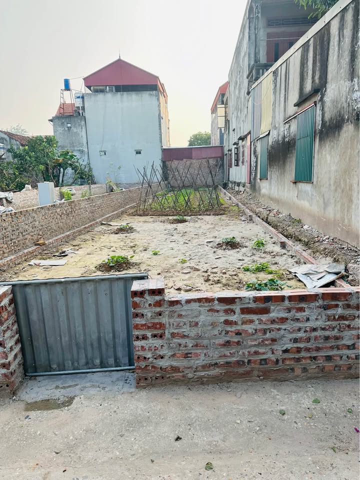 Đất nền Võng Xuyên, Phúc Thọ 168m² giá 3 tỷ - Sổ hồng chính chủ, giao dịch ngay!